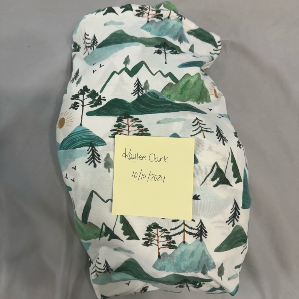 Little Sleepies Twin Sheet Set - Mountain Mist